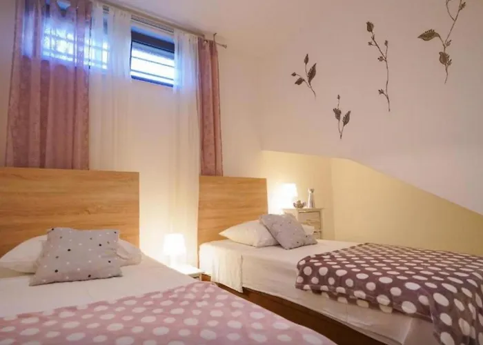 Cvita & Roza * שיבניק